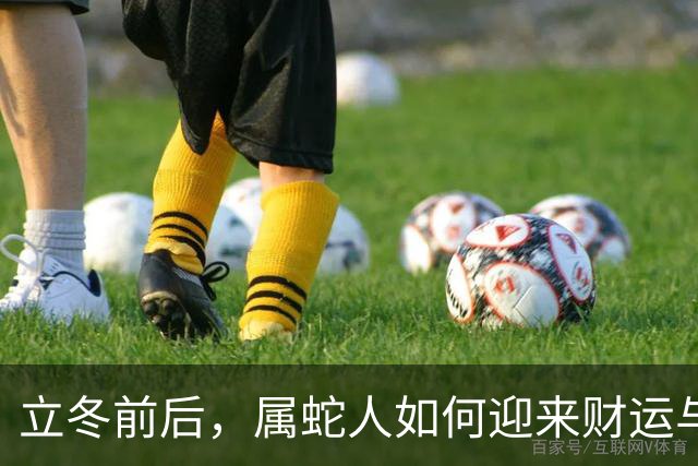立冬前后，属蛇人如何迎来财运与人脉的双重惊喜？